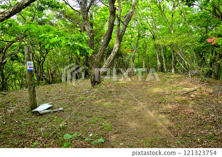 禦坂山脈風愛山山頂、森林之巔 121323754
