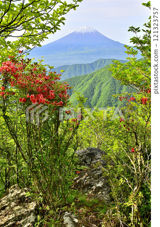 禦坂山脈的富士山，春天的新綠山和杜鵑花 121323757