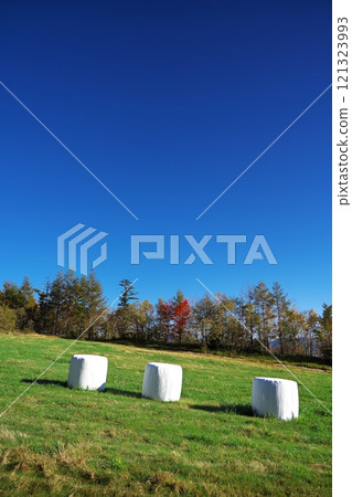 Shinshu, grassland next to the Mitake Blue Line Shinshu, grassland next to the Mitake Blue Line 121323993