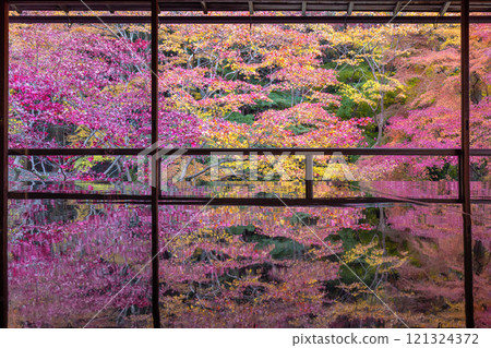 Authority Rurikoin 121324372