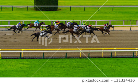 Horse racing Tokyo racecourse Horse racing Tokyo racecourse 121324430