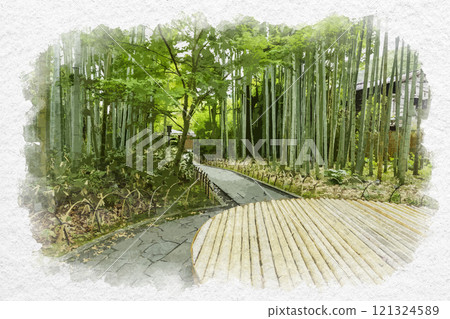 水彩風格伊豆修善寺竹林步道靜岡縣伊豆市 121324589
