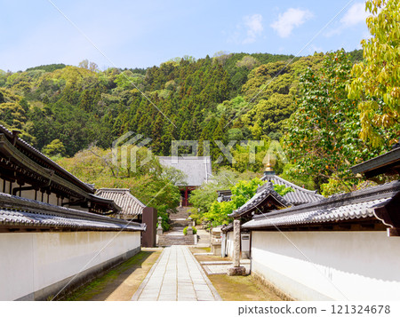 [Nara Prefecture] Yamatokoriyama City Yatadera Temple (Kongosan Temple) (Photo taken on April 17, 2024) 121324678