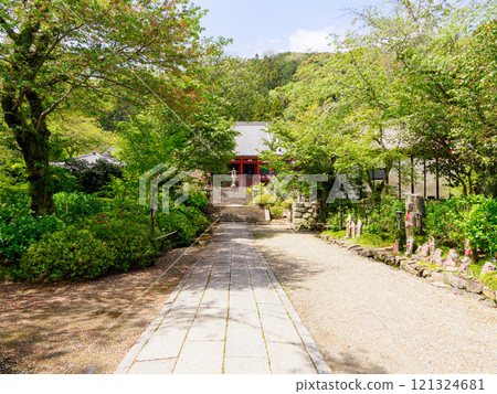 [奈良縣] 大和郡山市矢田寺（Kongosanji）（照片攝於2024/04/17） 121324681