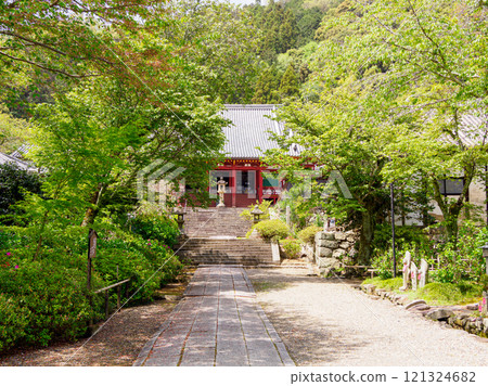 [Nara Prefecture] Yamatokoriyama City Yatadera Temple (Kongosan Temple) (Photo taken on April 17, 2024) 121324682