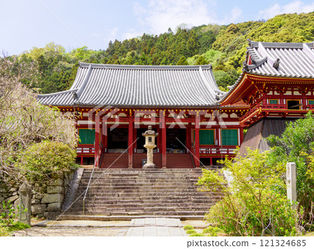 [Nara Prefecture] Yamatokoriyama City Yatadera Temple (Kongosan Temple) (Photo taken on April 17, 2024) 121324685