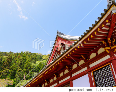 [Nara Prefecture] Yamatokoriyama City Yatadera Temple (Kongosan Temple) (Photo taken on April 17, 2024) 121324693