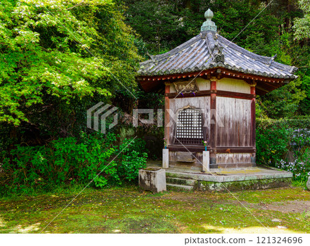 [Nara Prefecture] Yamatokoriyama City Yatadera Temple (Kongosan Temple) (Photo taken on April 17, 2024) 121324696