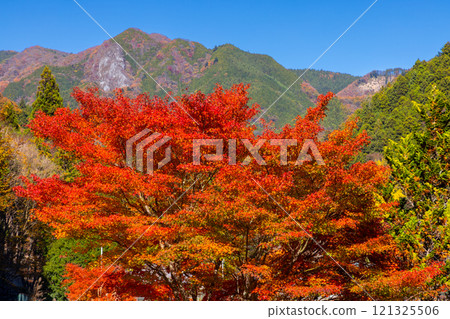 埼玉縣秩父市大瀧關場地區、縣指定史蹟、繩文聚落遺址、關場洞穴、紅葉山景 121325506