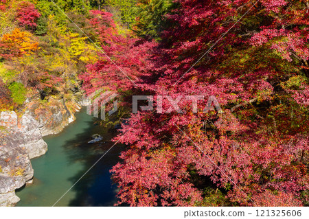 位於埼玉縣秩父市大瀧關場地區的縣指定史蹟兼繩文聚落遺址關波洞窟附近的荒川新神岡大橋上的秋楓葉 121325606