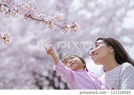 使用在櫻花公園的母親和孩子 使用在櫻花公園的母親和孩子 121326095