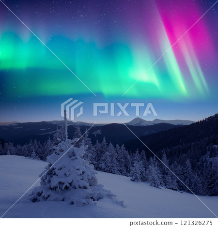 Fairy Christmas nightscape with snowy fir-tree and multicolored Polar lights 121326275