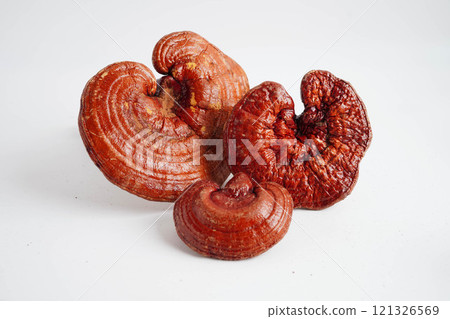 Lingzhi or Reishi mushroom with capsules, organic natural healthy food. Lingzhi or Reishi mushroom with capsules, organic natural healthy food. 121326569