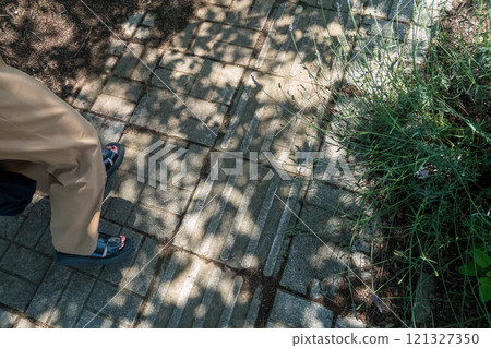 Green shade 121327350