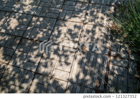 Green shade Green shade 121327352