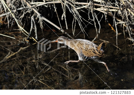 Running Rail 121327883