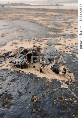 Dead bird died due to oil. Fuel oil in sea coastline after a tanker wreck. Dead bird died due to oil. Fuel oil in sea coastline after a tanker wreck. 121328617