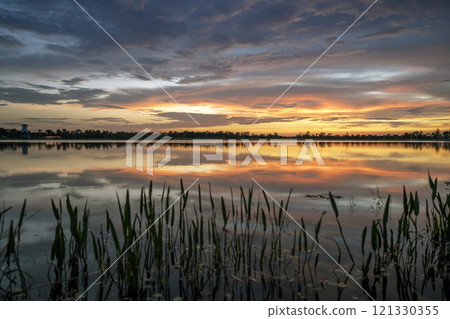Evening landscape of Florida wetland flora. Lake water in southern tropical swamp at sunset Evening landscape of Florida wetland flora. Lake water in southern tropical swamp at sunset 121330355