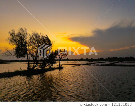 Silhouetted trees stand tall against a fiery sunset over a tranquil rice field. 121331093