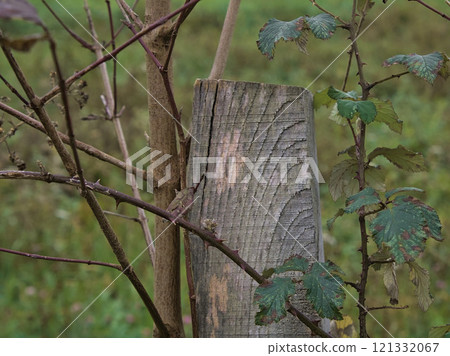 wood from a fence wood from a fence 121332067