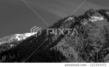 Black and White Photograph of a Sunlit Mountainside with a Forest Black and White Photograph of a Sunlit Mountainside with a Forest 121333372