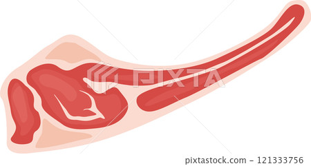 Simple flat vector illustration of a large piece of red meat with fat isolated on a white background, representing protein, food, cooking, butchery, and meat products Simple flat vector illustration of a large piece of red meat with fat isolated on a white background, representing protein, food, cooking, butchery, and meat products 121333756