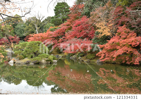 南池吉島附近的秋季仙洞皇宮 南池吉島附近的秋季仙洞皇宮 121334331