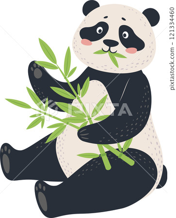 Adorable baby panda bear sitting with legs crossed, holding and eating fresh green bamboo branches, isolated illustration on white background 121334460