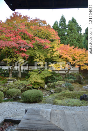Autumn at the Imperial Throne Garden of the Imperial Temple Sennyuji (Higashiyama Ward, Kyoto City) 121334623