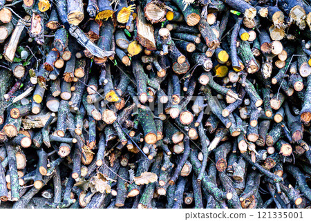 Pile of firewood stacked for the winter. Pile of cut wooden logs and branches Pile of firewood stacked for the winter. Pile of cut wooden logs and branches 121335001