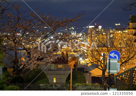 函館夜景 函館夜景 121335050