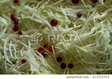 Process of harvesting sauerkraut. Autumn pickling of cabbage. ,cutting cabbage preparation 121335323