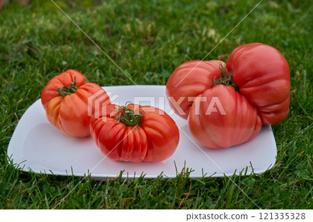 Red tomatoes on the white plate, green grass background Red tomatoes on the white plate, green grass background 121335328