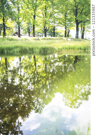 公園水面倒映的夏日色彩形象（蒜山高原） 121335987
