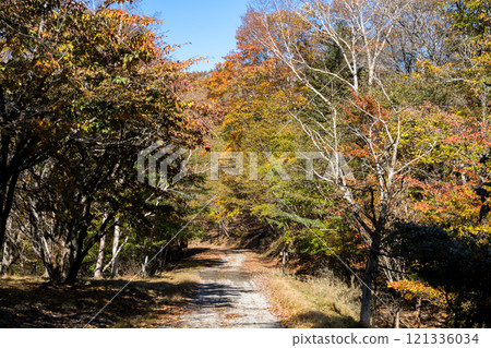 【三香穗超級森林之路】深秋越野 121336034