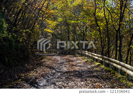 【三香穗超級森林之路】深秋越野 121336041