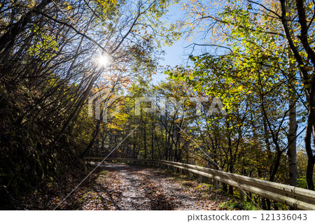 [Mikabuko Super Forest Road] Off-road in the depths of autumn 121336043