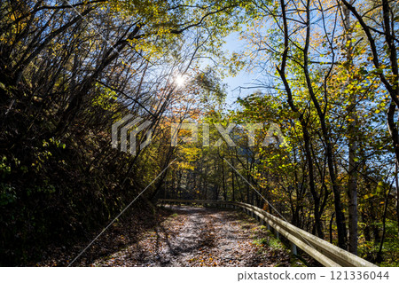 [Mikabuko Super Forest Road] Off-road in the depths of autumn 121336044