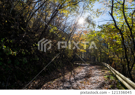 【三香穗超級森林之路】深秋越野 121336045