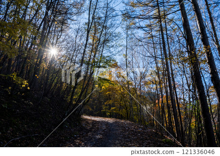 【三香穗超級森林之路】深秋越野 121336046