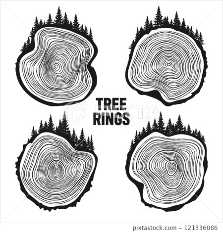 Round tree trunk cuts with trees and forest. Sawn pine or oak slices, lumber. Saw cut timber, wood. Brown wooden texture with tree rings. Hand drawn sketch. Vector illustration 121336086