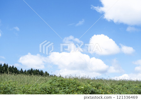 夏日的草和清爽的夏日天空，蒜山高原 121336469