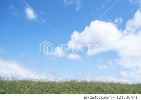 Summer grass and a refreshing summer sky, Hiruzen Highlands Summer grass and a refreshing summer sky, Hiruzen Highlands 121336471