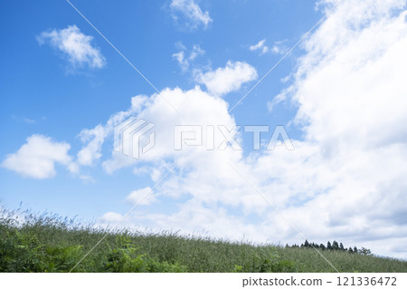 Summer grass and a refreshing summer sky, Hiruzen Highlands 121336472