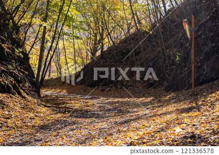 【三香穗超級森林之路】深秋越野 121336578