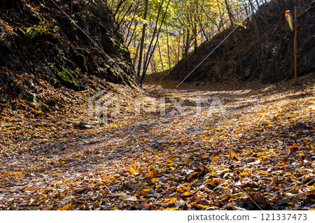 【三香穗超級森林之路】深秋越野 121337473
