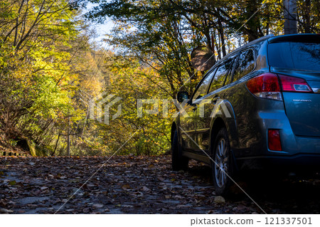 【三香穗超級森林之路】深秋越野 121337501