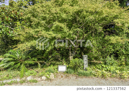 靜岡縣掛川市 再見之中山久圓寺遺址 121337562