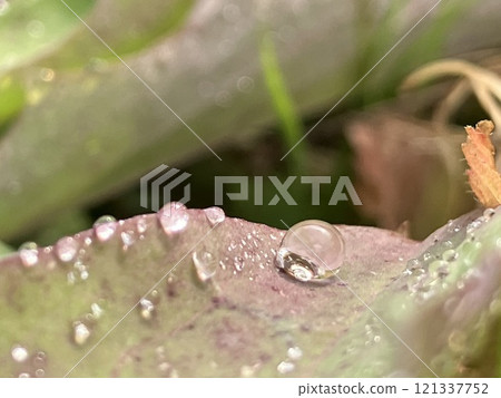 走路時看到水滴 121337752