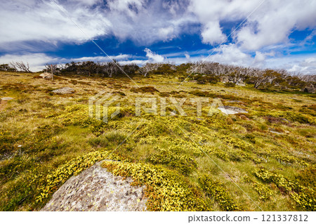 Porcupine Rocks Walk in Australia 121337812
